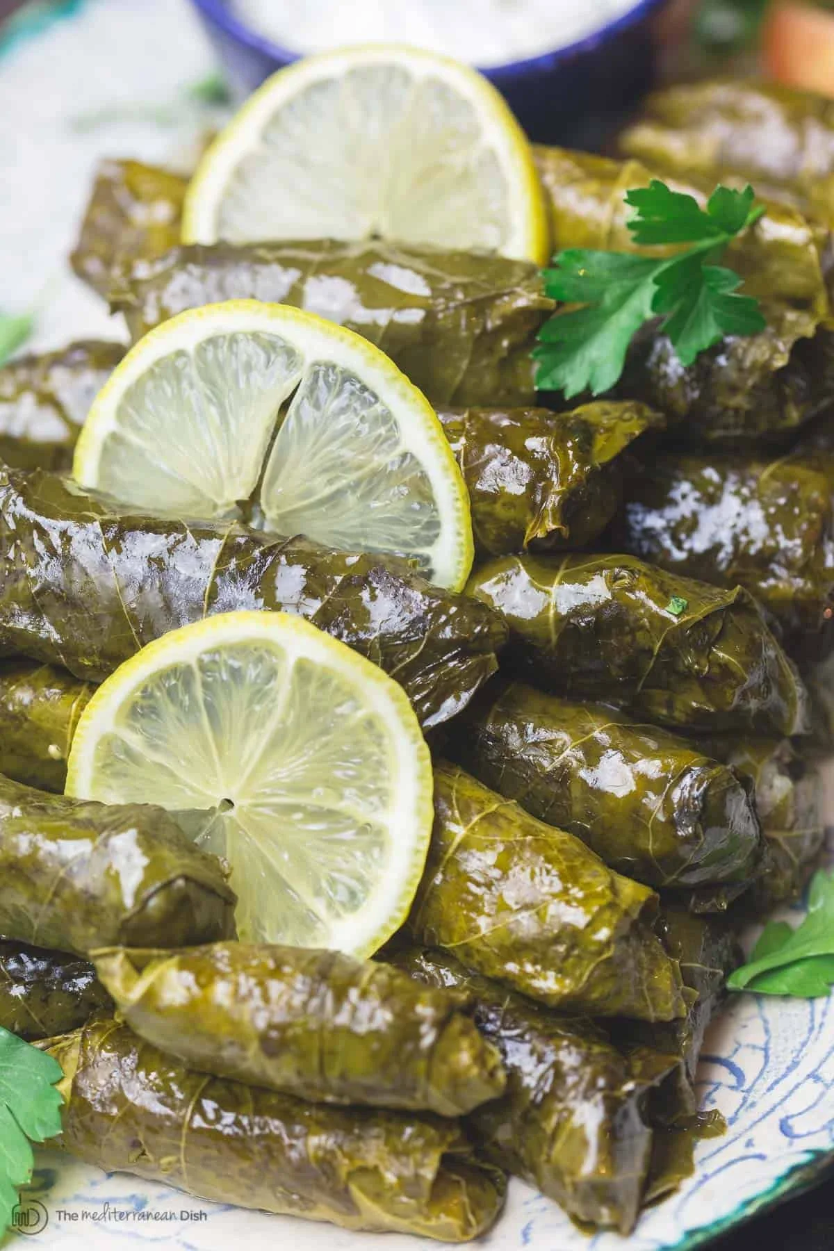 Feuilles de vigne farcies (Dolmas)