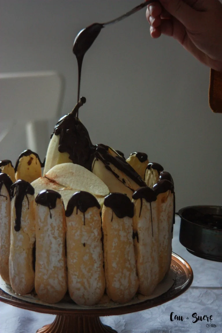 Charlotte aux poires et chocolat, un dessert élégant et savoureux.