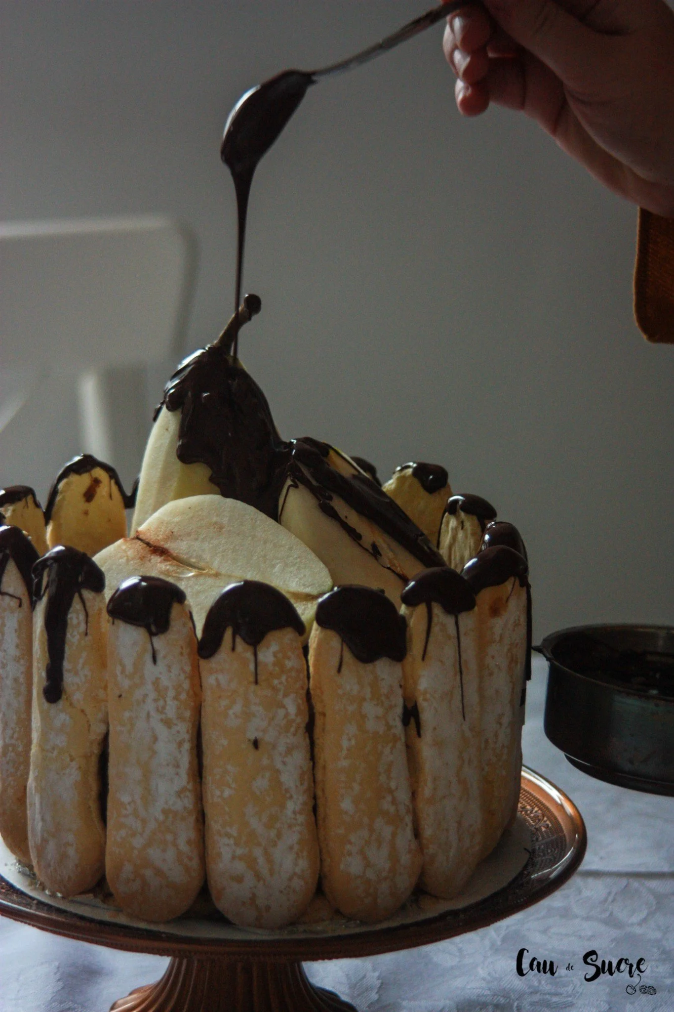 Charlotte aux poires et chocolat, un dessert élégant et savoureux.