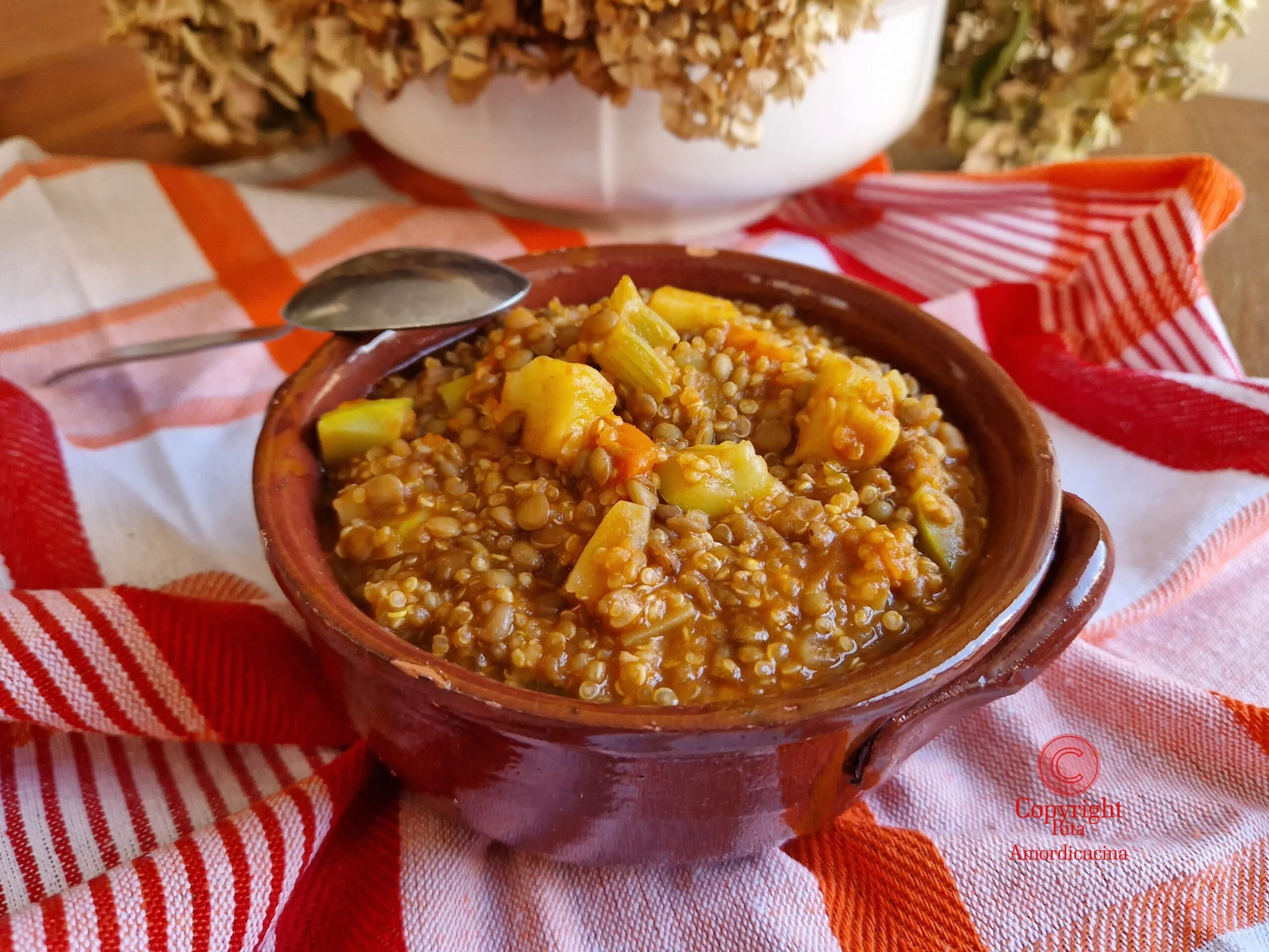 Ragoût de lentilles et quinoa